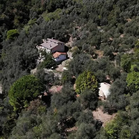 A Yurt Among Olive Trees And The Sea ラッパロ