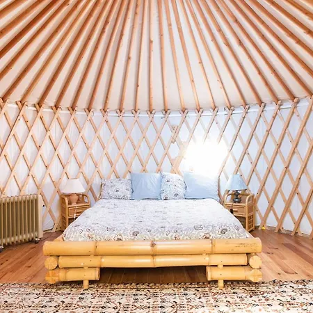A Yurt Among Olive Trees And The Sea ゲストハウス 3*