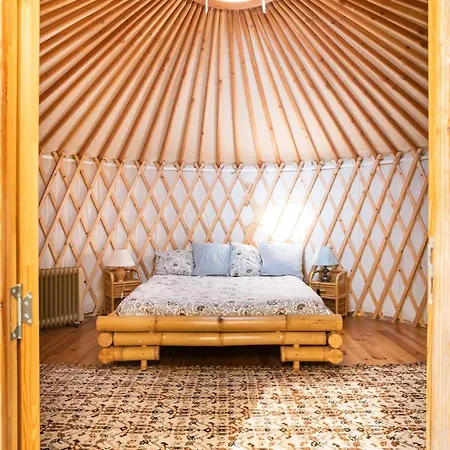 A Yurt Among Olive Trees And The Sea 3*