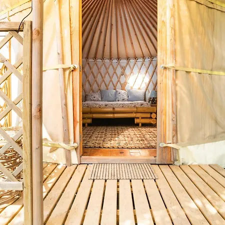 A Yurt Among Olive Trees And The Sea ゲストハウス
