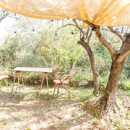 ゲストハウス A Yurt Among Olive Trees And The Sea
