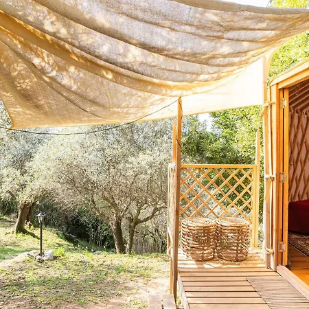 A Yurt Among Olive Trees And The Sea ゲストハウス 3*