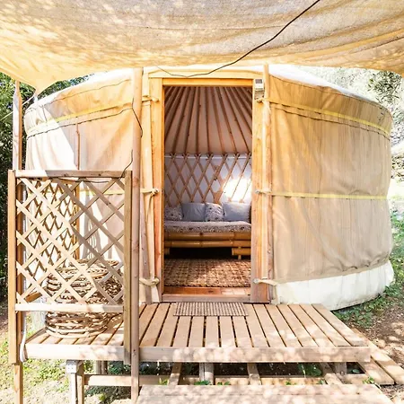 A Yurt Among Olive Trees And The Sea