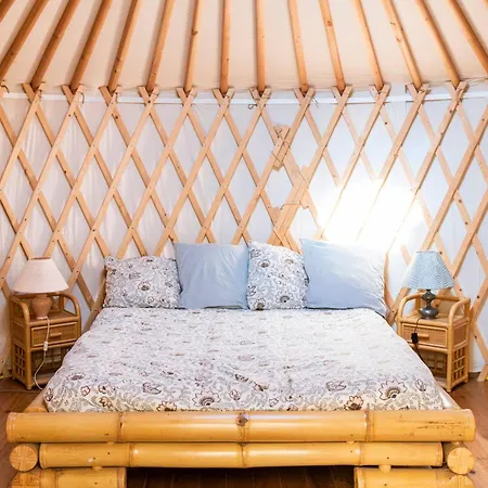 A Yurt Among Olive Trees And The Sea 3*