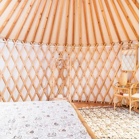 A Yurt Among Olive Trees And The Sea ゲストハウス