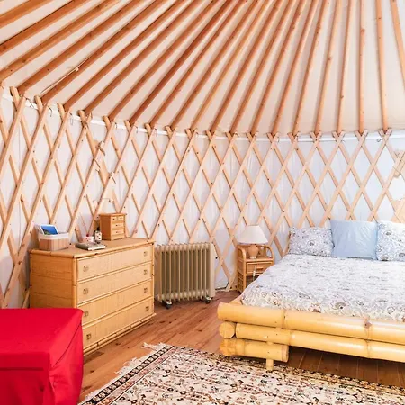 A Yurt Among Olive Trees And The Sea ゲストハウス ラッパロ