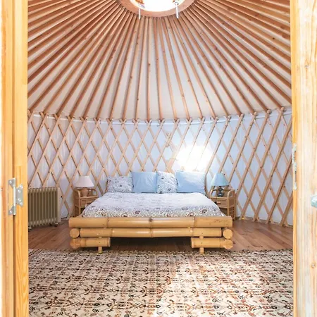 A Yurt Among Olive Trees And The Sea 3* ラッパロ