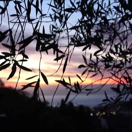 ゲストハウス A Yurt Among Olive Trees And The Sea 3*