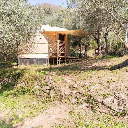 ゲストハウス A Yurt Among Olive Trees And The Sea 3*