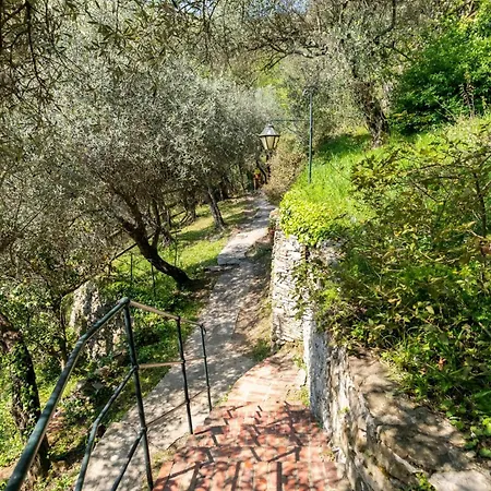 A Yurt Among Olive Trees And The Sea 3* ラッパロ