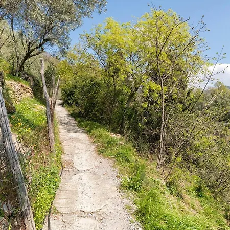 A Yurt Among Olive Trees And The Sea 3*