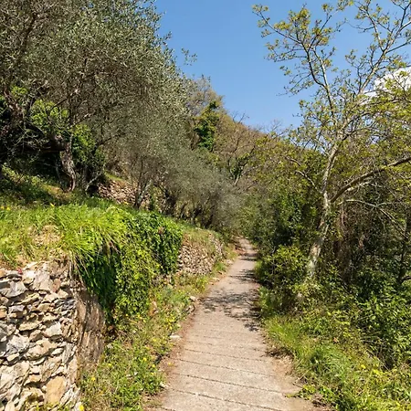 A Yurt Among Olive Trees And The Sea ゲストハウス ラッパロ