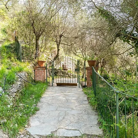 A Yurt Among Olive Trees And The Sea 3*