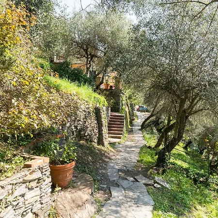 A Yurt Among Olive Trees And The Sea ゲストハウス