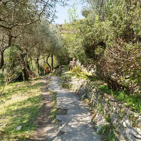 ゲストハウス A Yurt Among Olive Trees And The Sea ラッパロ