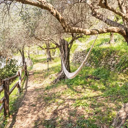 A Yurt Among Olive Trees And The Sea Guest house