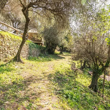 A Yurt Among Olive Trees And The Sea