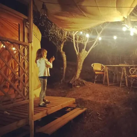 A Yurt Among Olive Trees And The Sea Rapallo