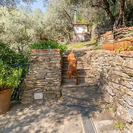 A Yurt Among Olive Trees And The Sea Guest house 3*