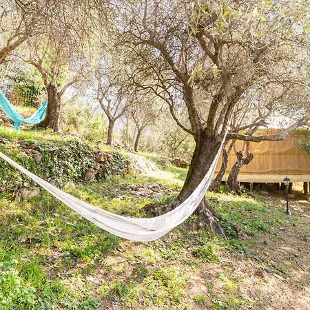 A Yurt Among Olive Trees And The Sea ラッパロ