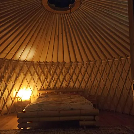 Guest house A Yurt Among Olive Trees And The Sea