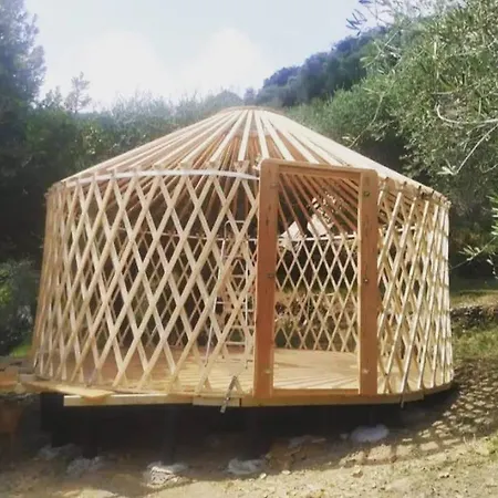A Yurt Among Olive Trees And The Sea