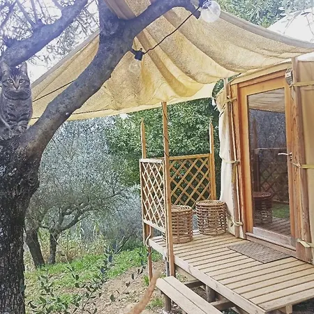 A Yurt Among Olive Trees And The Sea ラッパロ