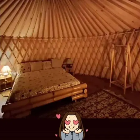 A Yurt Among Olive Trees And The Sea ゲストハウス ラッパロ