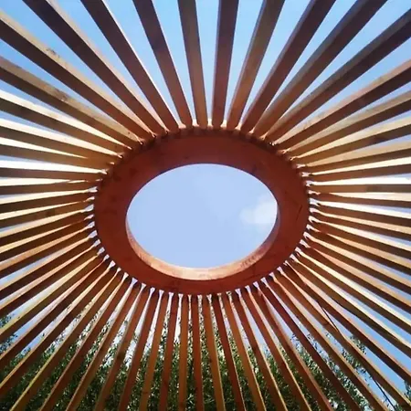 A Yurt Among Olive Trees And The Sea ゲストハウス 3*