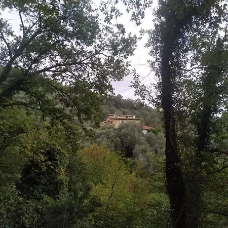 A Yurt Among Olive Trees And The Sea ラッパロ